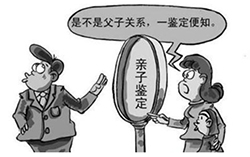 枣庄什么医院能办理血缘检测，枣庄医院做DNA亲子鉴定办理流程指南