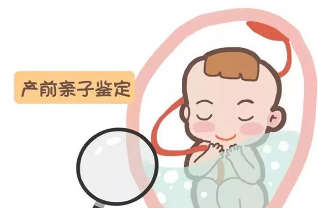 枣庄胎儿亲子鉴定中心在哪里, 枣庄胎儿亲子鉴定中心在哪里,
